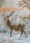 Preview: Stag in the Snow