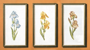 Iris Flower set