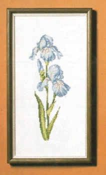 4651-1 Iris (Blue)
