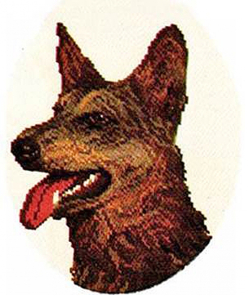 German Shepherd