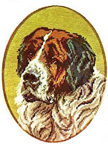 St. Bernard