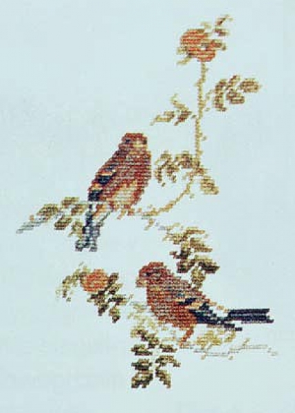 Bird idyll (combi pack with 3593-5, 3594-6, 3595-7, 3596-8) - background not embroidered