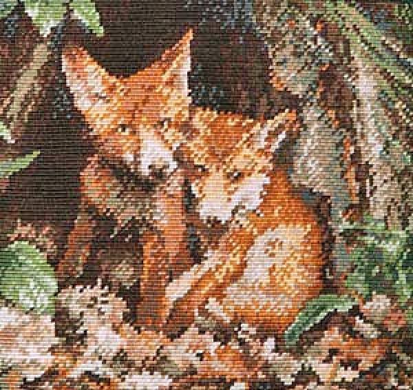 Young Foxes