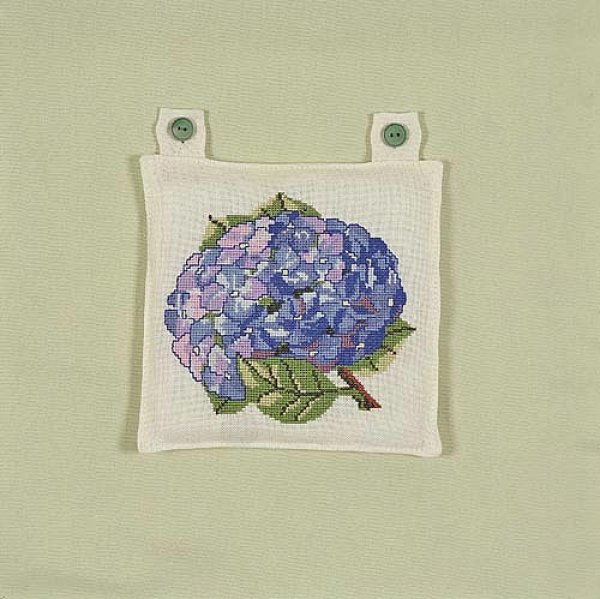 Hortensienblüte